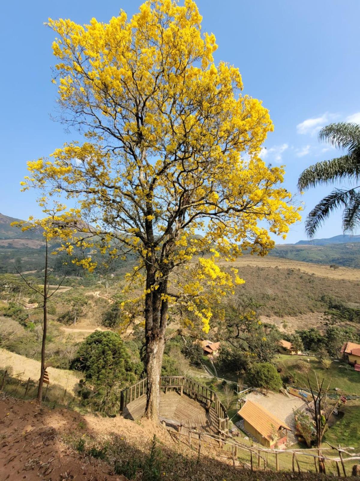 Pousada Recanto Do Ype Aiuruoca Dış mekan fotoğraf